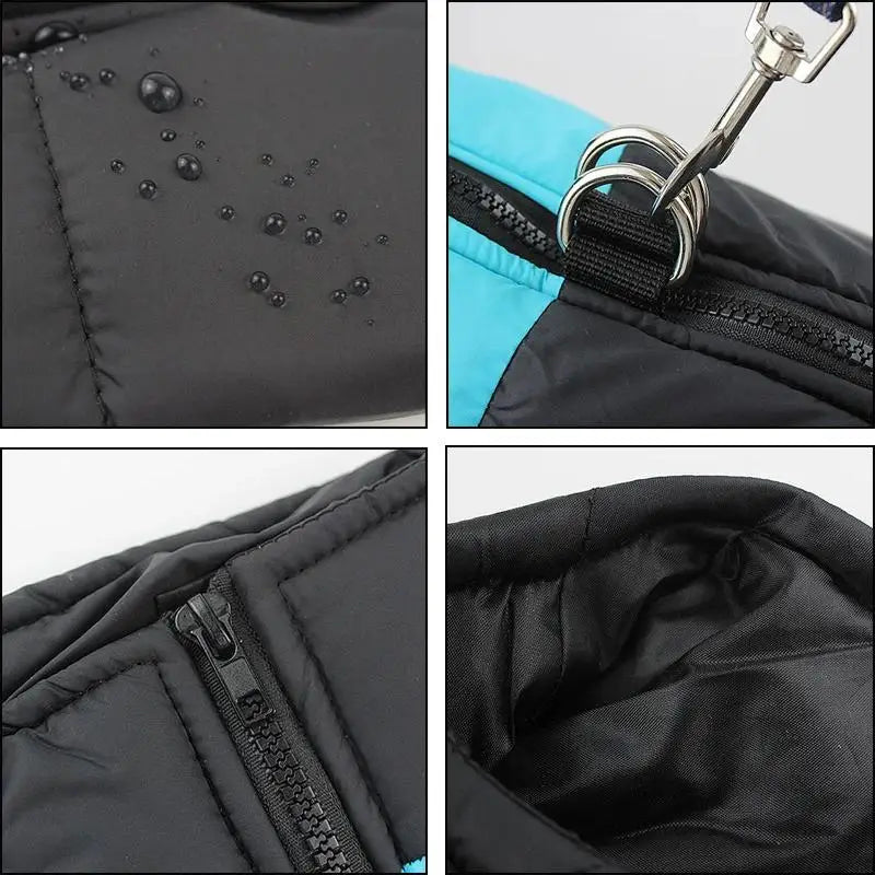 Manteau chien - porte