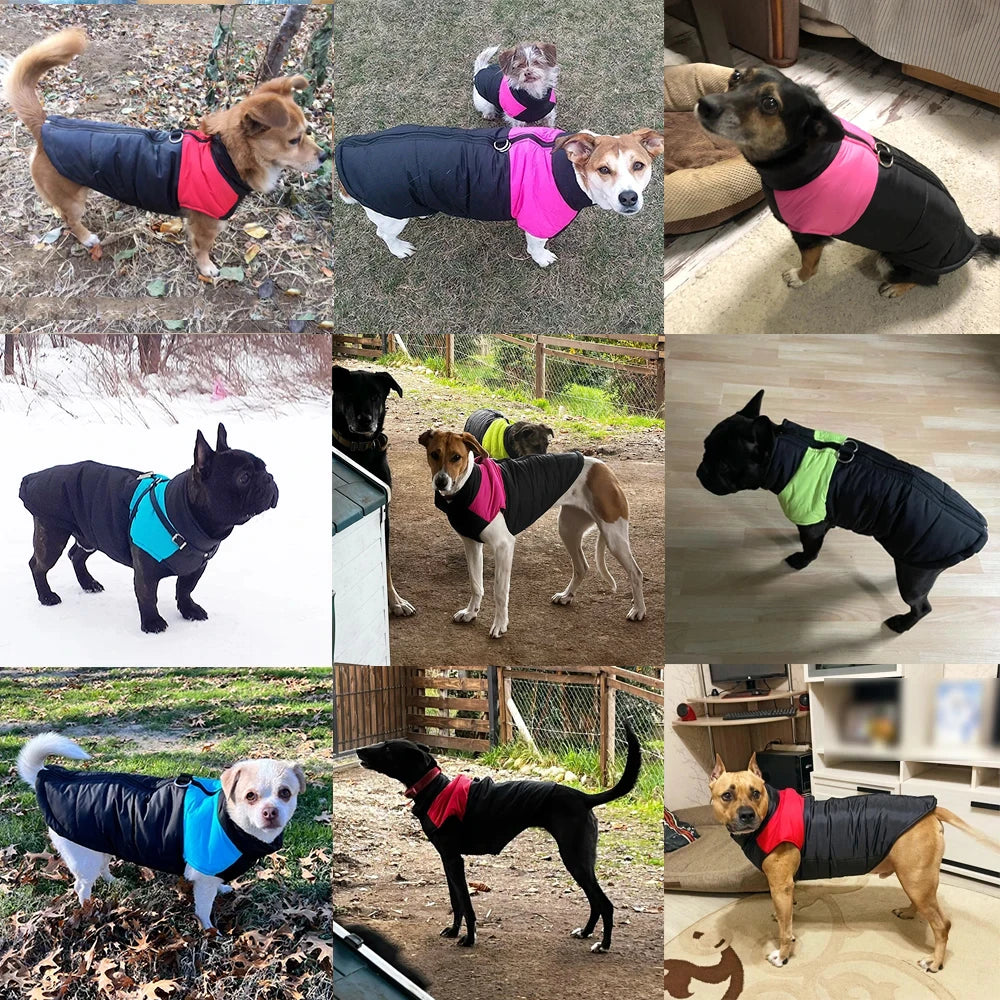 Manteau chien - tailles