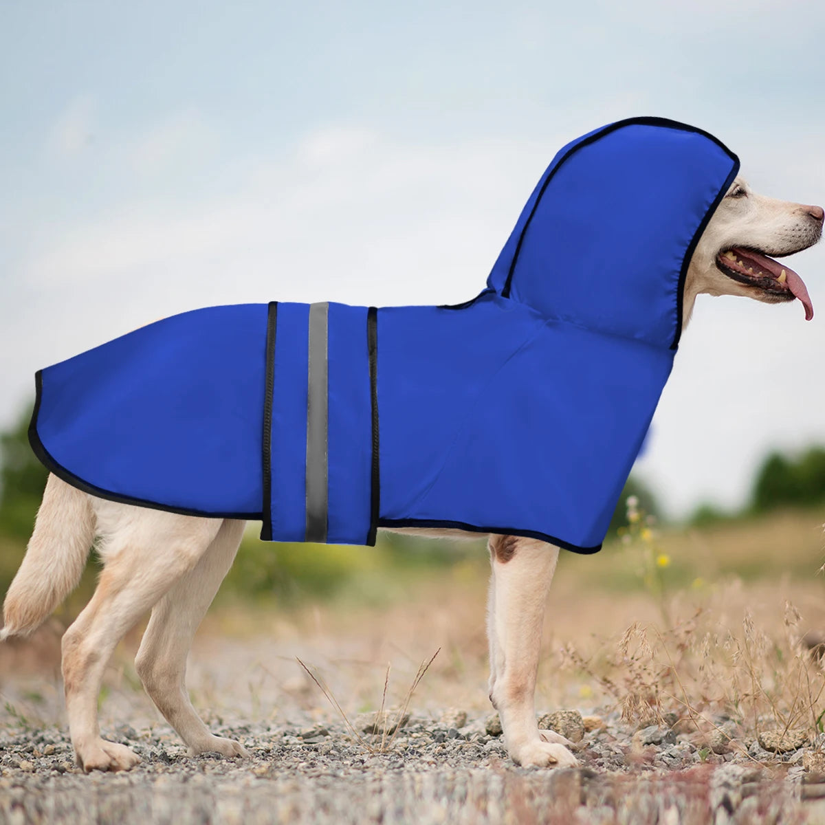 Impermeable chien - tailles