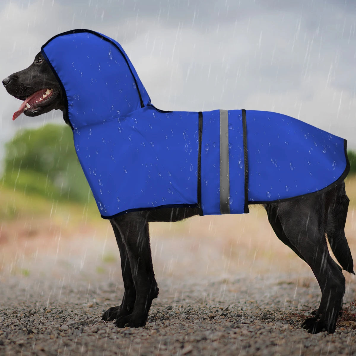 Impermeable chien - porte