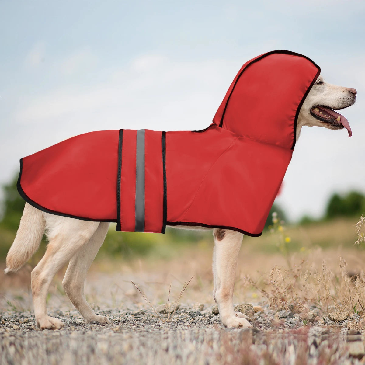 Impermeable chien - capuche