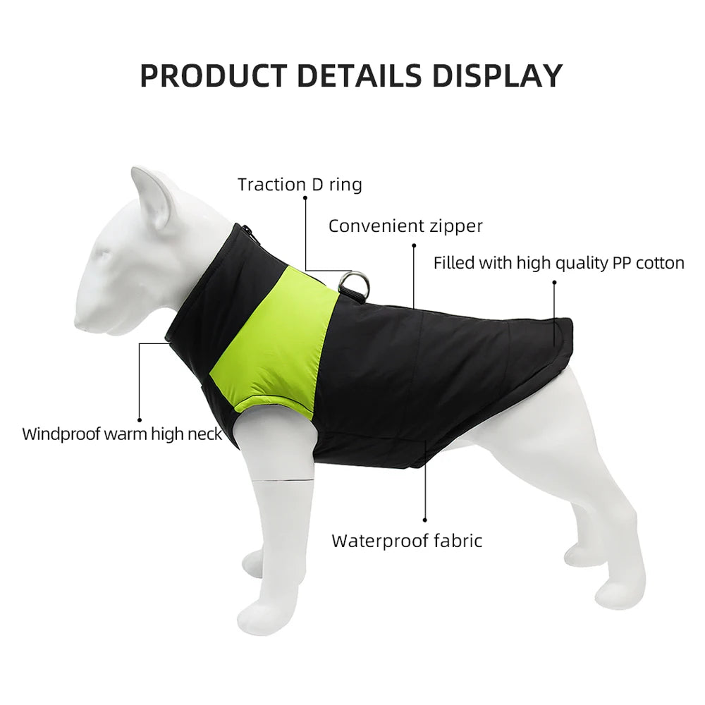 Manteau chien - anneau en D
