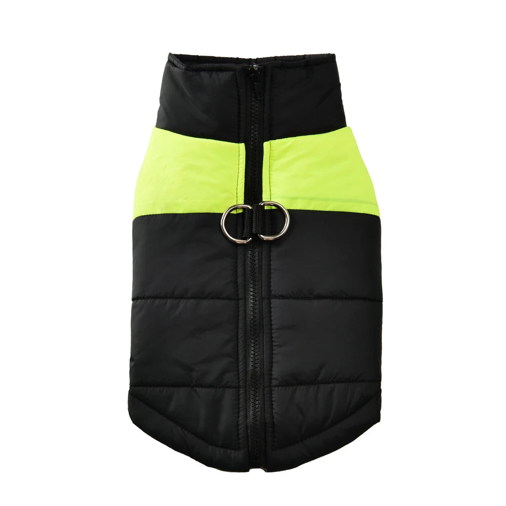 Manteau chien - coupe-vent