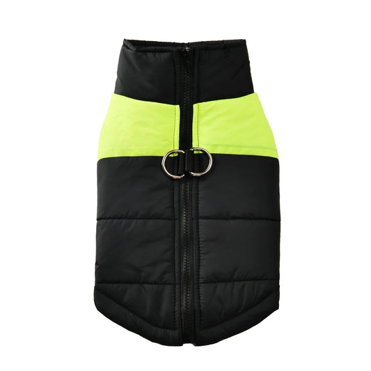 Manteau chien - coupe-vent